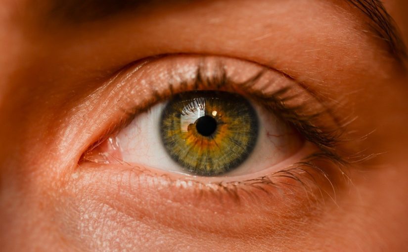 Oczy to niezwykły organ. To właśnie dzięki nim odczuwamy.